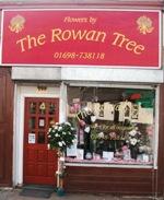 Flowers By The Rowan Tree - Home